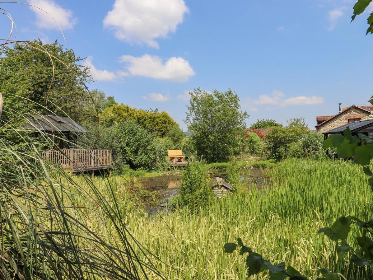 The Calf Pen Villa Colyton Exterior photo